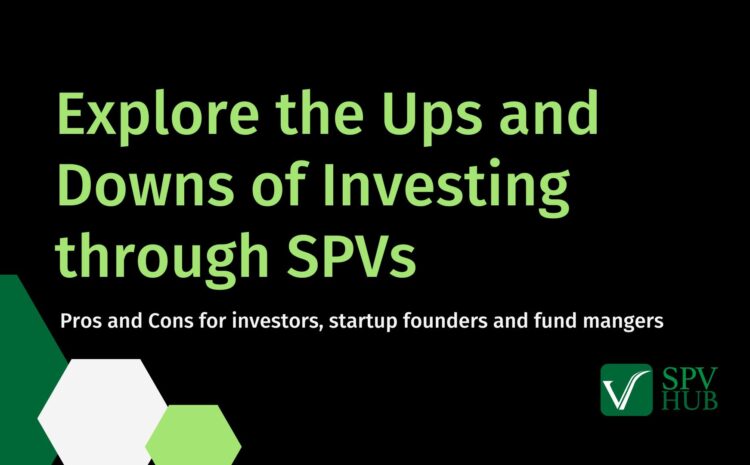 Pros and Cons of Investing through SPVs