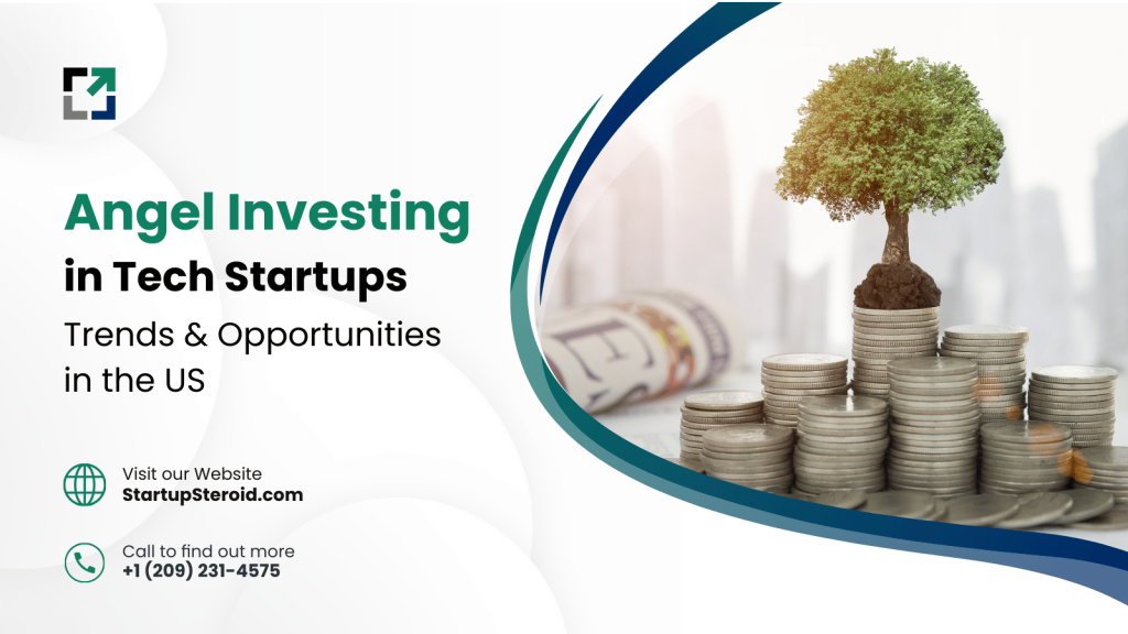 Angel Investing Trends in US Tech Startups 2024