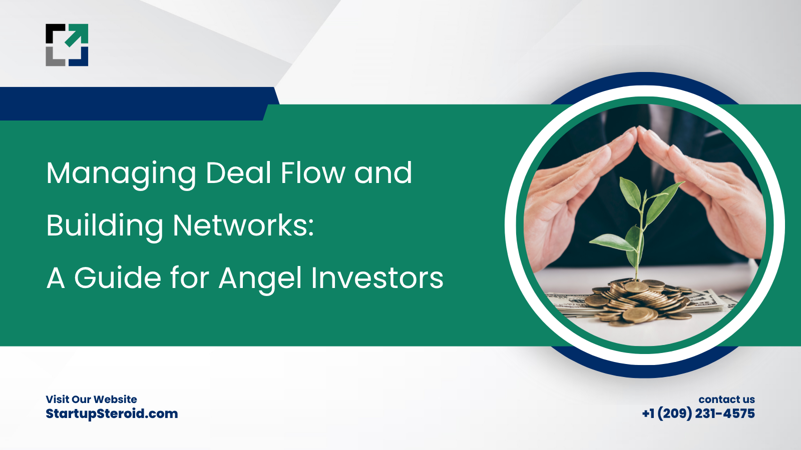 Managing Deal Flow and Building Networks A Guide for Angel Investors