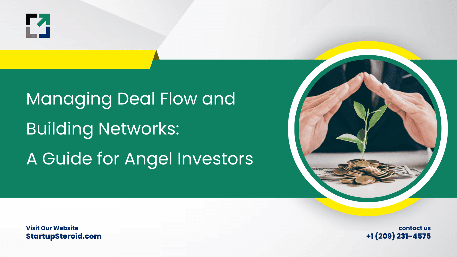 Managing Deal Flow and Building Networks: A Guide for Angel Investors